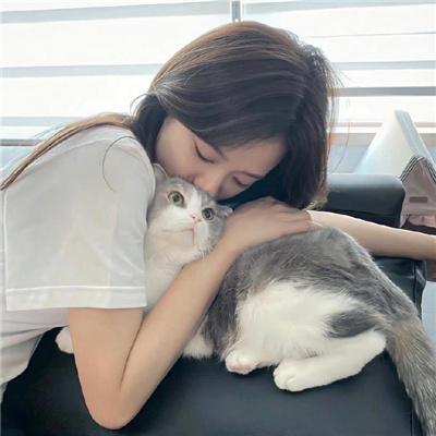 惊青三人组